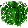 Better Leaves — original project icon