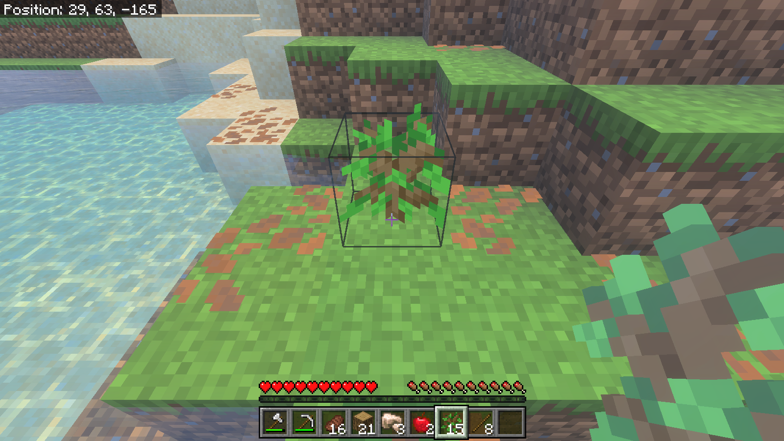 A newly planted oak sapling at the cleared tree site, with the sapling item selected in the Survival hotbar.