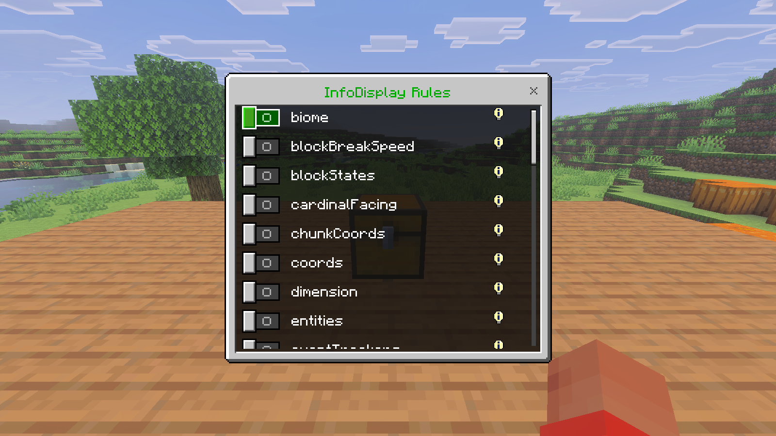 Canopy InfoDisplay Rules form with visible switches for blockStates, cardinalFacing, chunkCoords and coords.