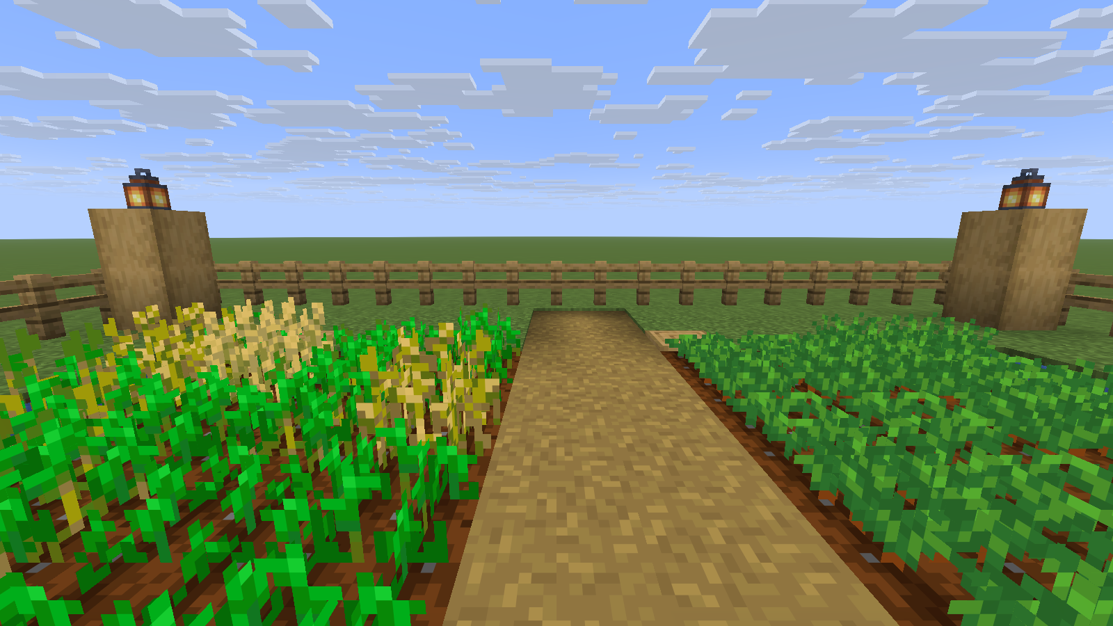 The central walking strip keeps feet off the wheat and carrot beds. Java 26.2 demonstration garden.