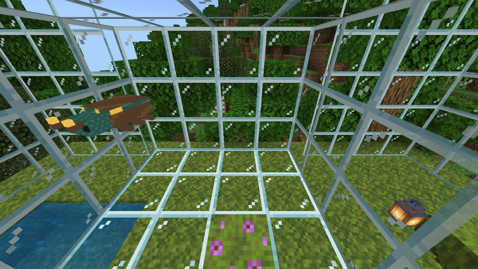 A teal and brown Lantern Beetle with amber markings hovering inside a glass garden.
