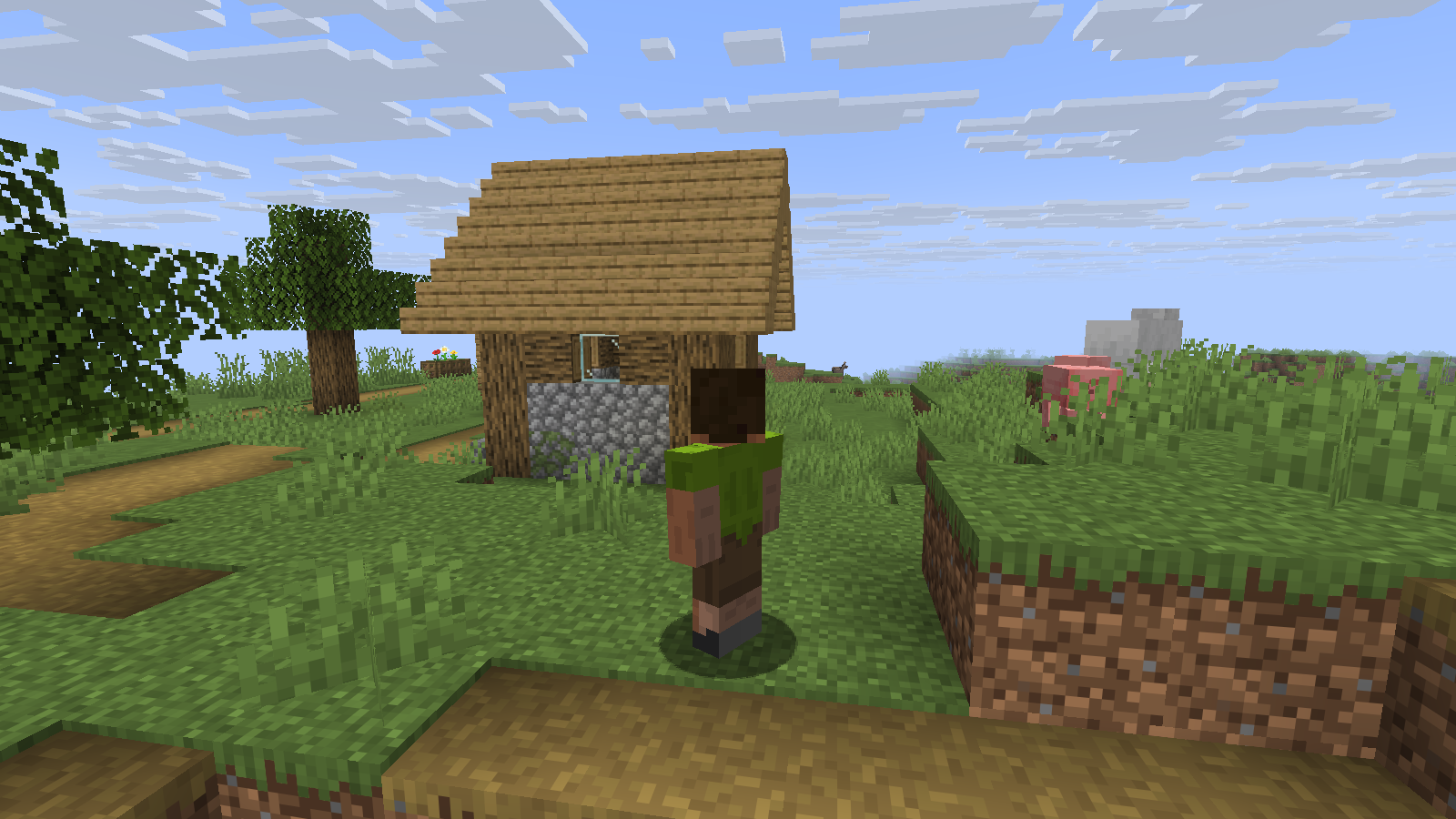 The same original skin viewed from behind in Java 26.2.
