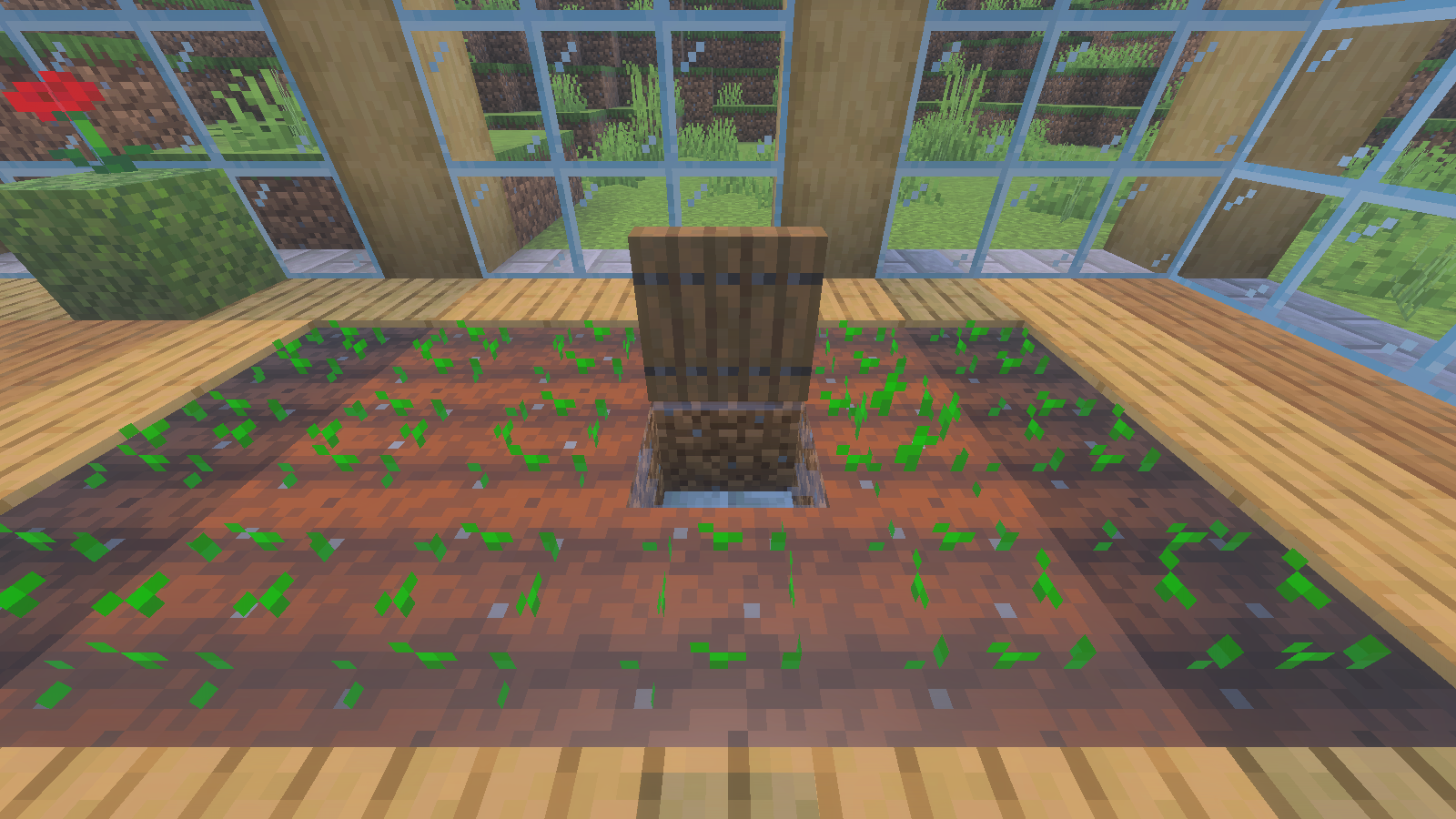Open wooden trapdoor above a water source beside the greenhouse wheat bed.