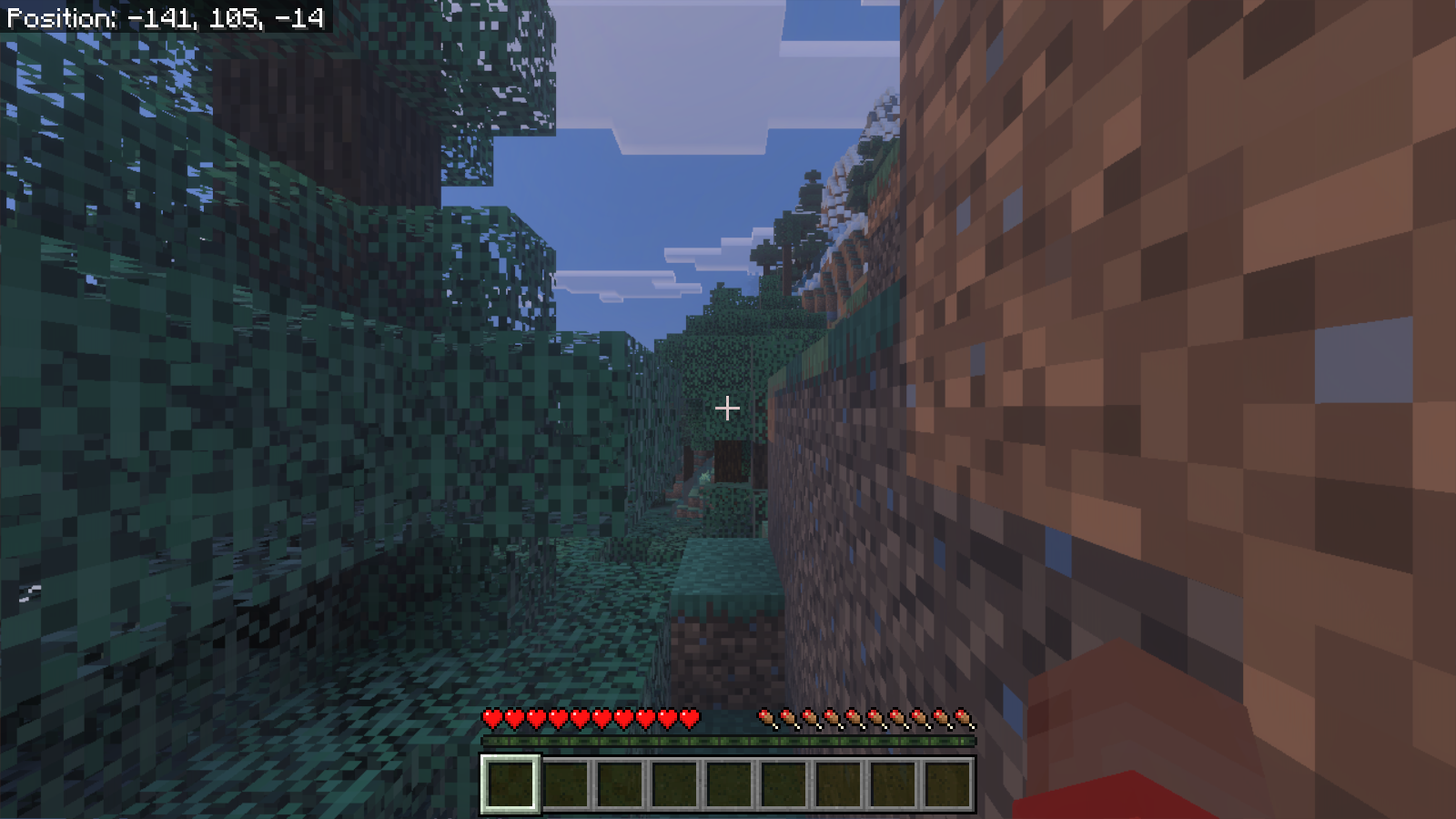 First-person Bedrock spawn beside spruce leaves and a dirt bank, with HUD coordinates -141, 105, -14 and full hearts.